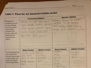 Biome in Bottle- Worksheet Page 1